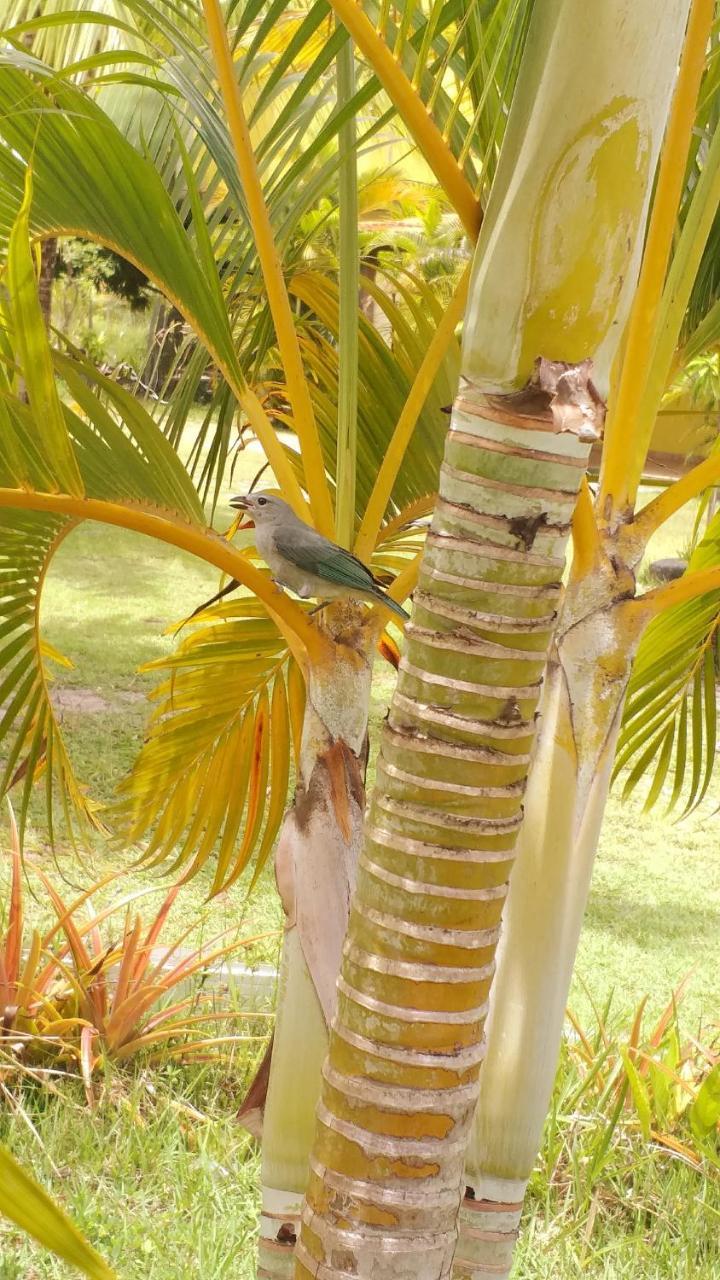 Pousada Vida Mar Hotell Barra Grande  Exteriör bild